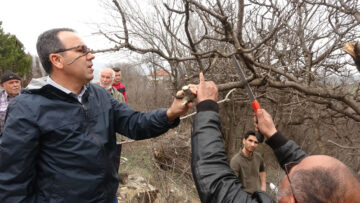 KARABÜK’TE YETİŞTİRİLECEK FISTIK, KÖYLÜLERİN GELİR KAYNAĞI OLACAK