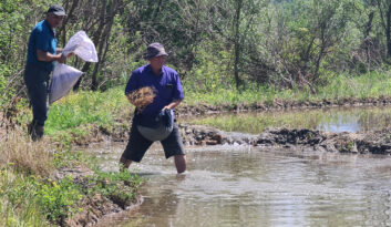 TOPRAKTAN SOFRAYA UZANAN YOLCULUK..