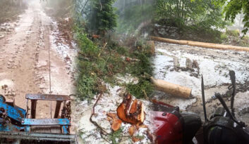 DOLU YAĞIŞI ORMAN İŞÇİLERİNE ZOR ANLAR YAŞATTI