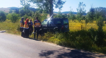 KONTROLDEN ÇIKAN HAFİF TİCARİ ARAÇ AĞACA ÇARPTI: 1 YARALI