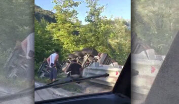 KONTROLDEN ÇIKAN TIR AĞAÇLIK ALANA DEVRİLDİ