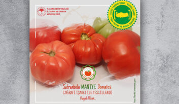 SAFRANBOLU MANİYE DOMATESİ COĞRAFİ İŞARET İLE TESCİLLENDİ