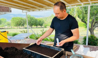 SAFRANBOLU BELEDİYESİ SERASINDA KIŞ HAZIRLIĞI