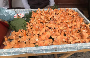 KANLICA MANTARI PAZARDAKİ YERİNİ ALDI