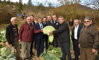 ESKİPAZAR LAHANASININ COĞRAFİ İŞARET BELGESİNİ ALMAK İÇİN ÇALIŞMALAR BAŞLATILDI
