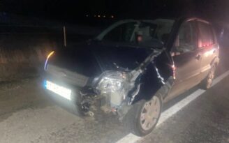 HAYVANLARINI KURTARAYIM DERKEN CANINDAN OLDU