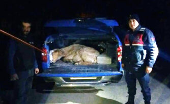 AYAĞI KIRILAN KEÇİYİ JANDARMA VE AFAD KURTARDI