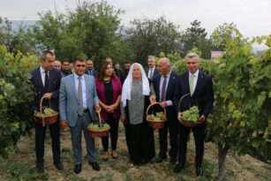 ÇAVUŞ ÜZÜMÜ BELGESİNE KAVUŞTU