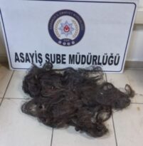 KABLO ÇALAN ŞAHIS YAKALANDI