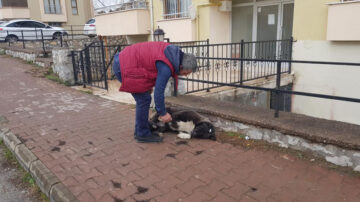‘VEFALI’ SİMLİ KÖPEK YAPTIĞIYLA ESNAFI DUYGULANDIRDI