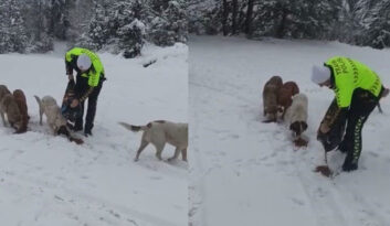 DEVRİYE GEZEN TRAFİK EKİPLERİNDEN, KÖPEKLERE MAMA DESTEĞİ