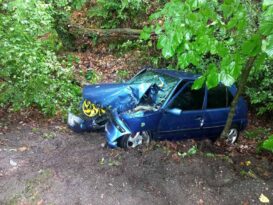 KONTROLDEN ÇIKAN AĞACA ÇARPTI  2’Sİ AĞIR 3 YARALI