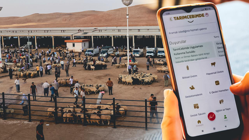 KURBANLIK HAYVANLAR İÇİN “TARIMCEBİMDE” HİZMETTE
