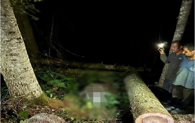  AĞACIN ALTINDA KALAN ORMAN İŞÇİSİ HAYATINI KAYBETTİ