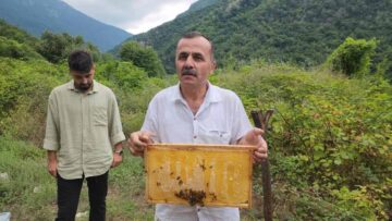 BAL ARILARI PETEK ÜZERİNDE ‘ALLAH’ YAZISI OLUŞTURDU