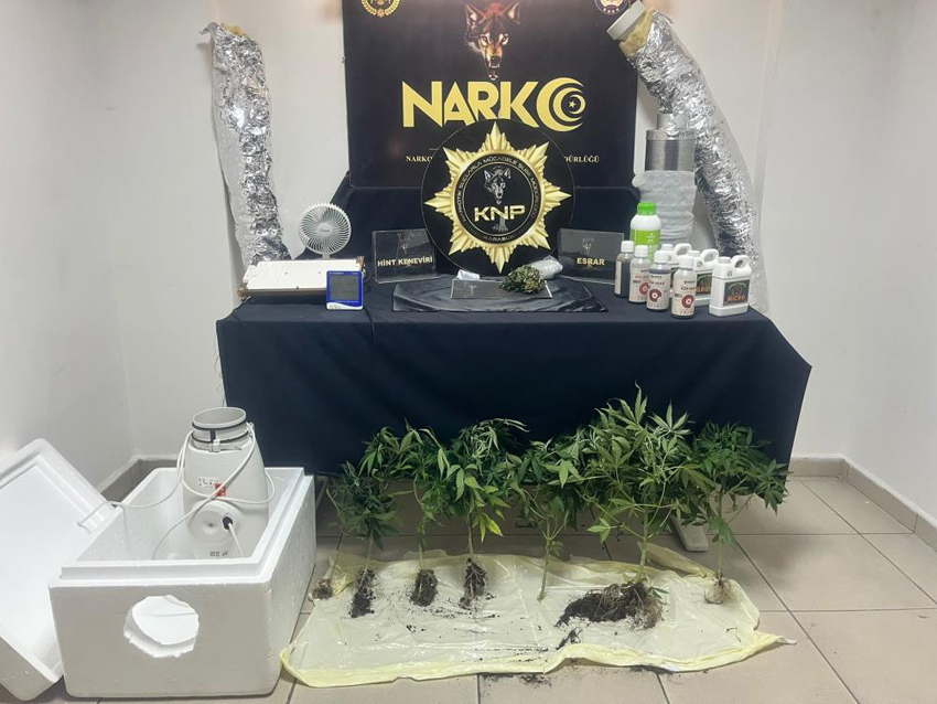 ÖZEL DÜZENEKLE UYUŞTURUCU YETİŞTİREN ŞAHIS YAKALANDI