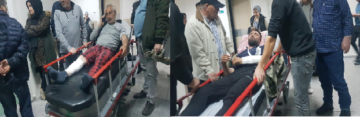 AYI SALDIRISINA UĞRAYAN 2 KİŞİ ÖLÜMDEN DÖNDÜ