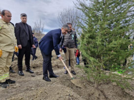 KARABÜK’TE 41 NOKTADA 52 BİN 46 FİDAN TOPRAKLA BULUŞTURULDU