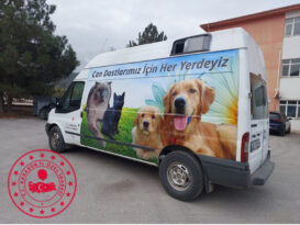 İL GENEL MECLİSİ SOKAK HAYVANLARINI UNUTMADI