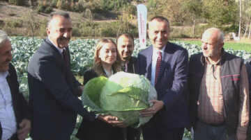 COĞRAFİ İŞARET YOLUNDAKİ ESKİPAZAR LAHANASI HASADI YAPILDI