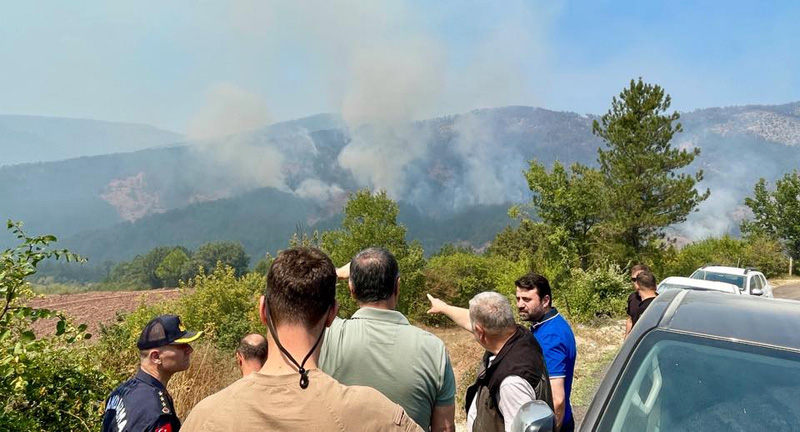 OVACIK’TA GEÇEN YIL YANAN 88 HEKTARLIK ALAN AĞAÇLANDIRILACAK