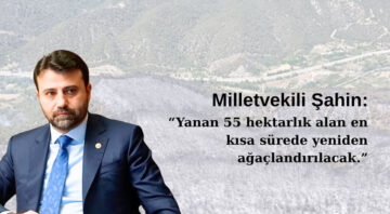 ŞAHİN: “YANAN 55 HEKTARLIK ALAN KISA SÜREDE AĞAÇLANDIRILACAK”