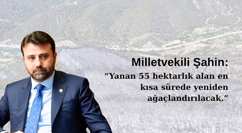 ŞAHİN: “YANAN 55 HEKTARLIK ALAN KISA SÜREDE AĞAÇLANDIRILACAK”