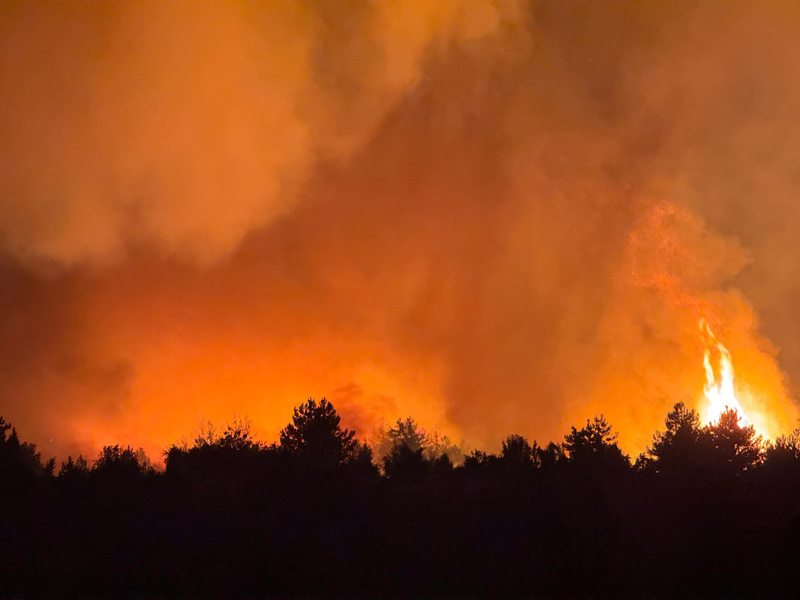KARABÜK KELTEPE KAHYALAR KÖYÜ MEVKİİNDE ORMAN YANGINI