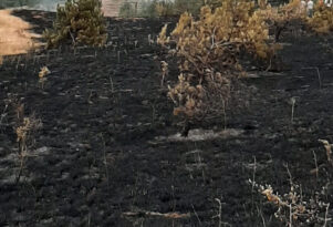 KELTEPE’DE Kİ YANGIN SÖNDÜRÜLDÜ