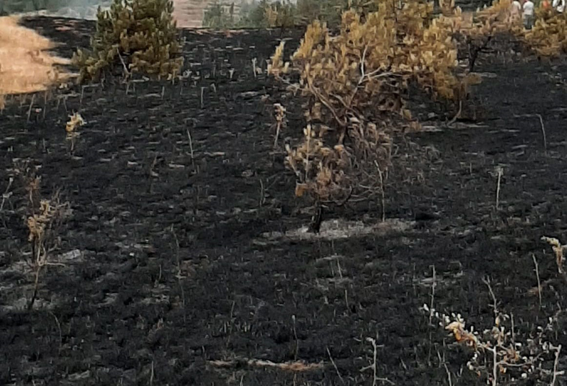 KELTEPE’DE Kİ YANGIN SÖNDÜRÜLDÜ