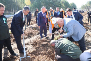 YEŞİL VATAN İÇİN 20 BİN FİDAN TOPRAKLA BULUŞTU