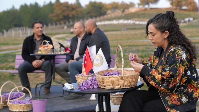 KAŞIK 2025 SEMPOZYUMU SAFRANBOLU’DA KÜLTÜR, SANAT VE BİLİMİ BULUŞTURDU