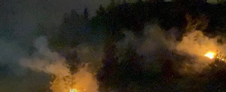KARABÜK’TE ORMANLIK ALANDA ÇIKAN YANGIN SÖNDÜRÜLDÜ