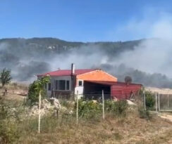 ANIZ YANGINI BÜYÜMEDEN SÖNDÜRÜLDÜ