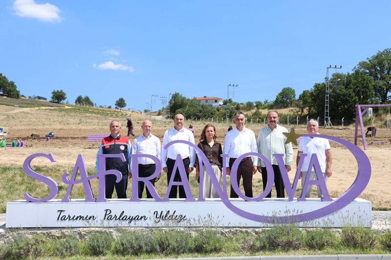 SAFRANOVA’DA 7 DEKARLIK ALANA 500 KİLO SAFRAN SOĞANI DİKİLDİ