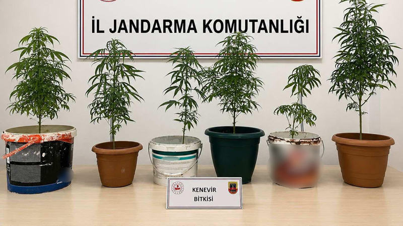 KARABÜK’TE UYUŞTURUCU VE KAÇAK TÜTÜN OPERASYONU