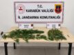 KARABÜK’TE UYUŞTURUCU OPERASYONU